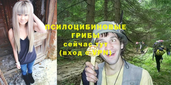 трава Бикин