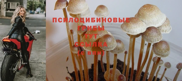 MESCALINE Абдулино